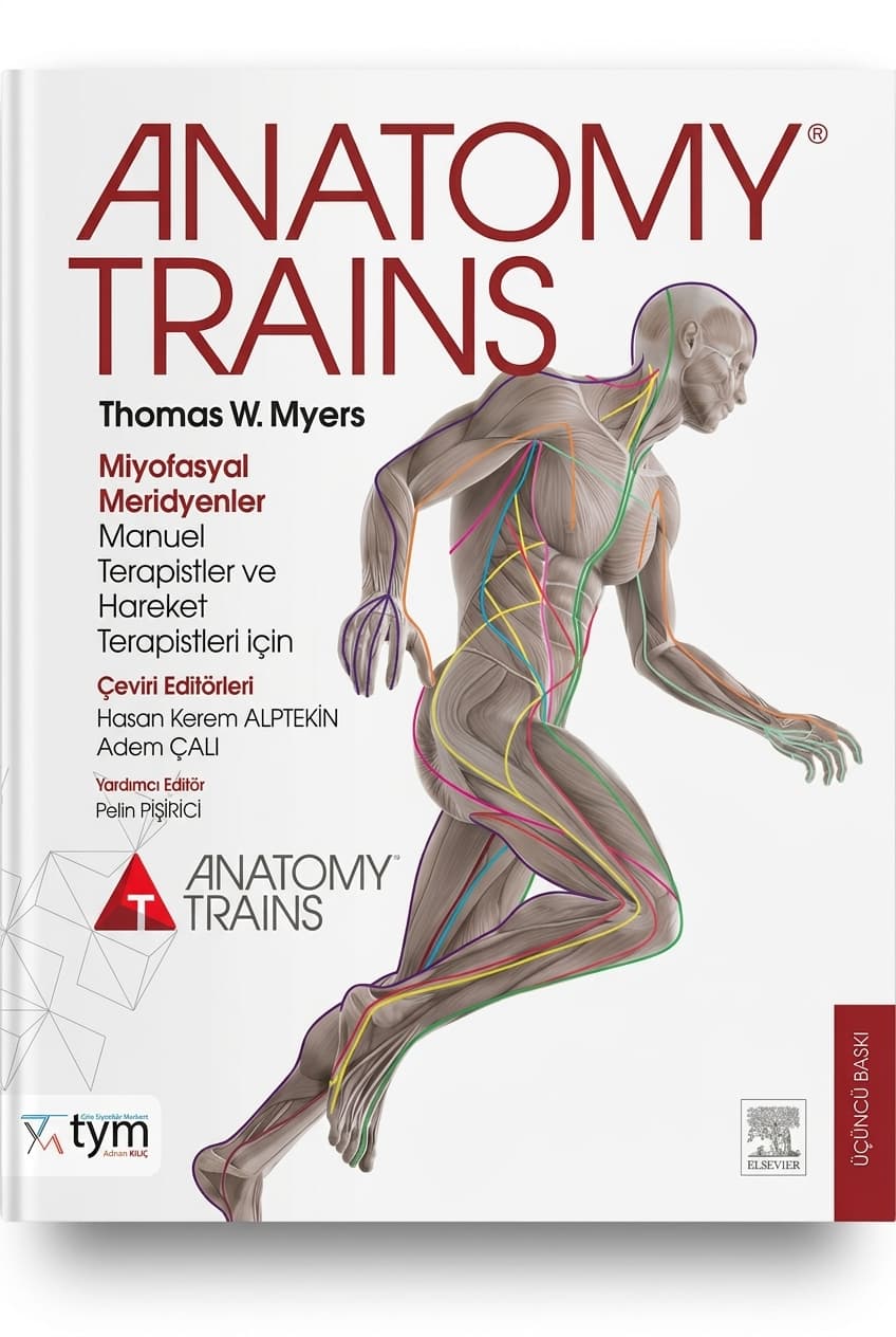 Anatomy Trains